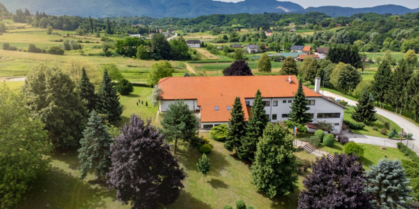 kamenica (8) (1)